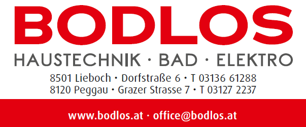 Bodlos Logo